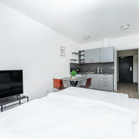 Apartman V Podebradech Podebrady Exterior photo