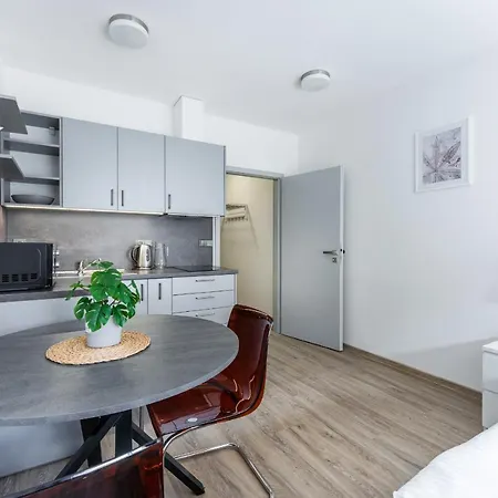 Apartman V Podebradech Podebrady Exterior photo