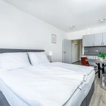 Apartman V Podebradech Podebrady Exterior photo