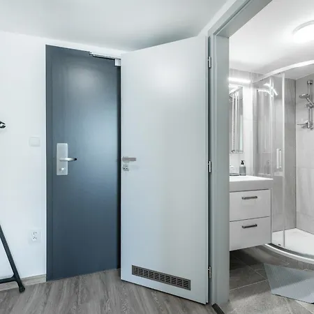 Apartman V Podebradech Podebrady Exterior photo