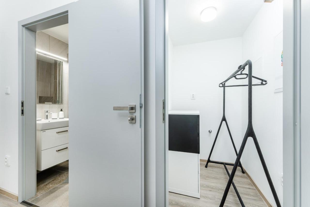 V Podebradech Apartment