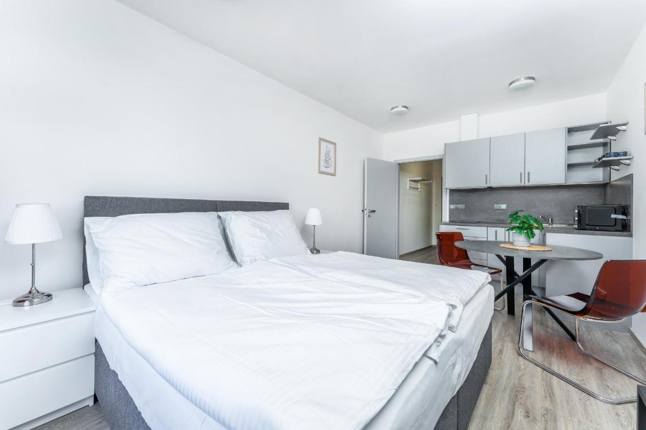 V Podebradech Apartmán