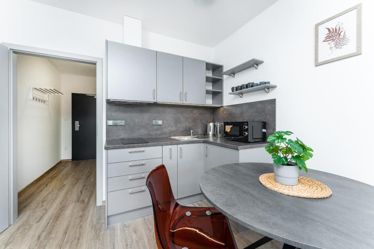 V Podebradech Apartmán Podebrady