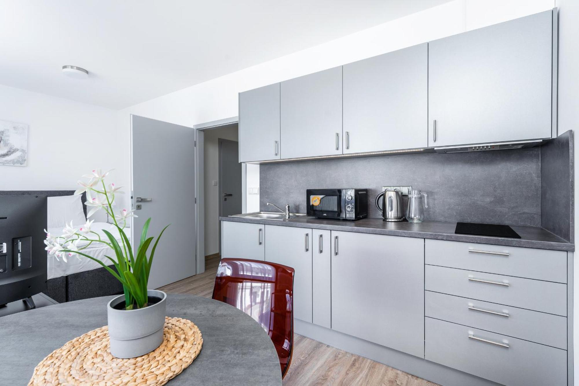 Apartmán V Podebradech