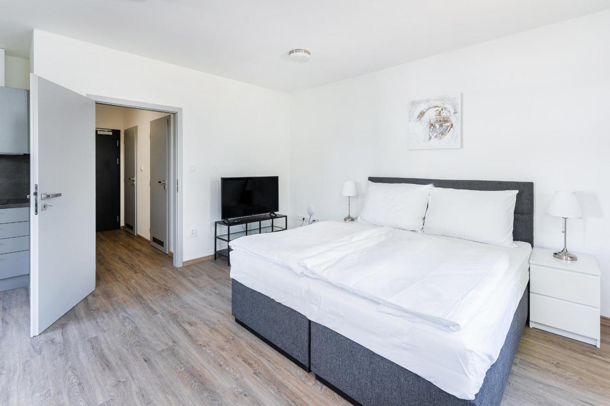 Apartmán V Podebradech
