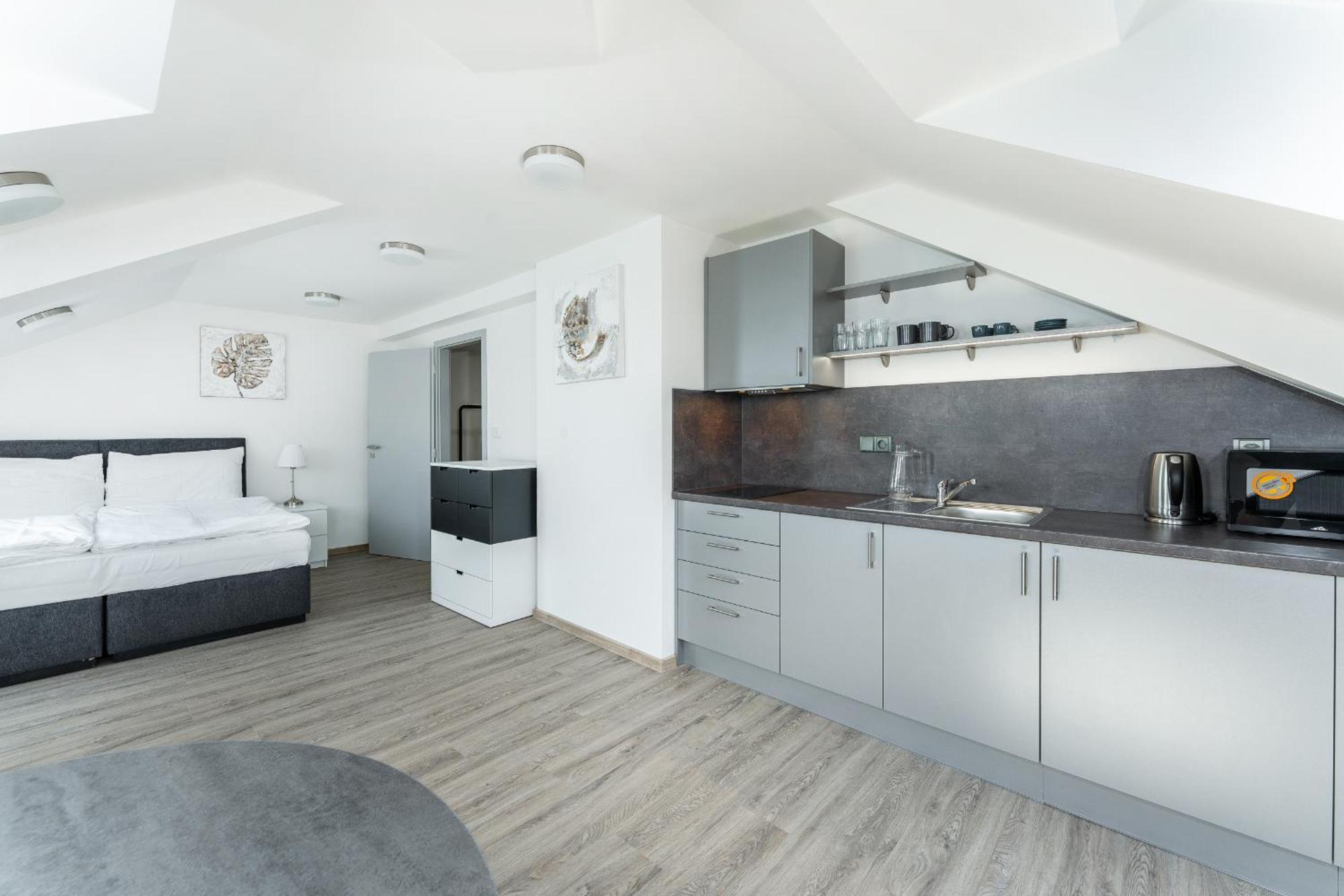 V Podebradech Apartment