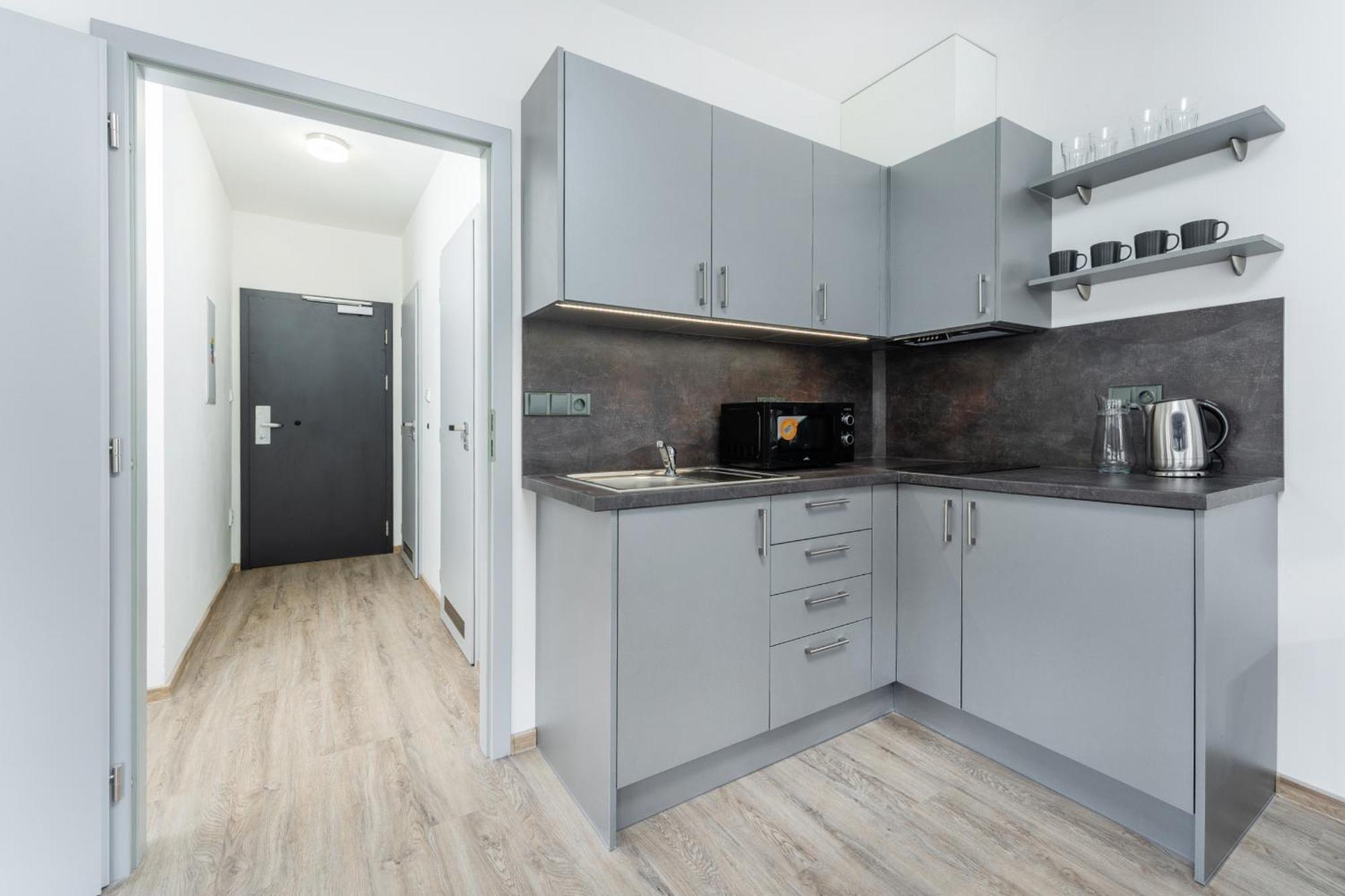 Apartment V Podebradech Podebrady