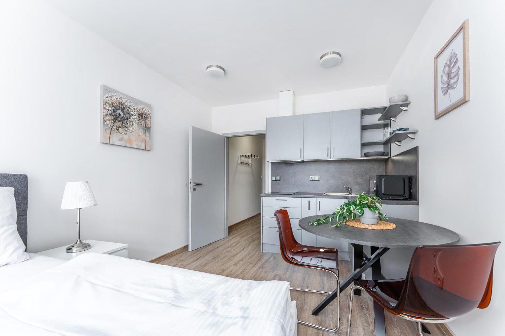 V Podebradech Apartment *