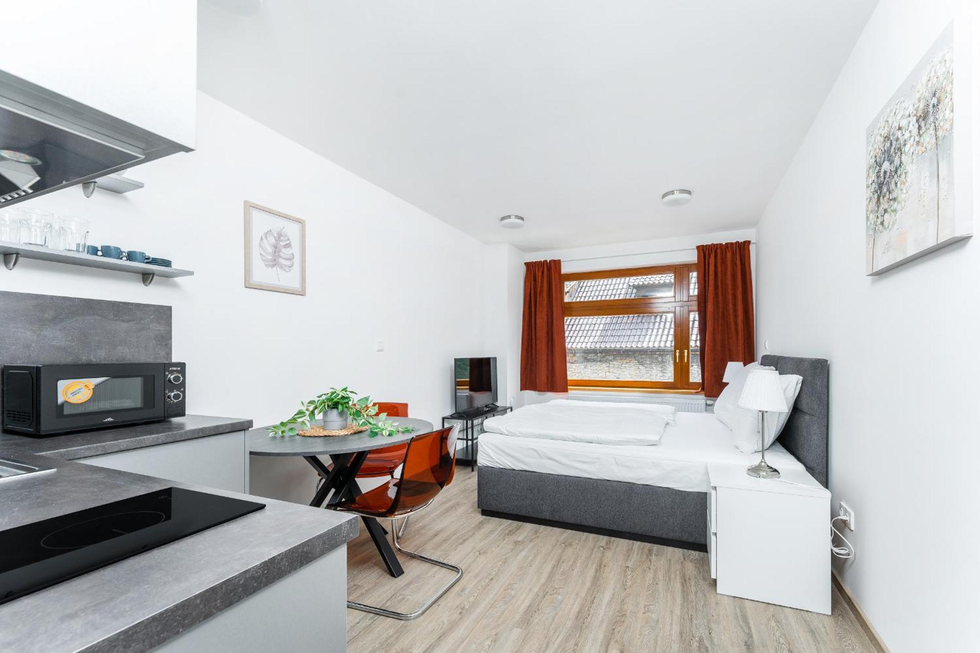 Apartment V Podebradech