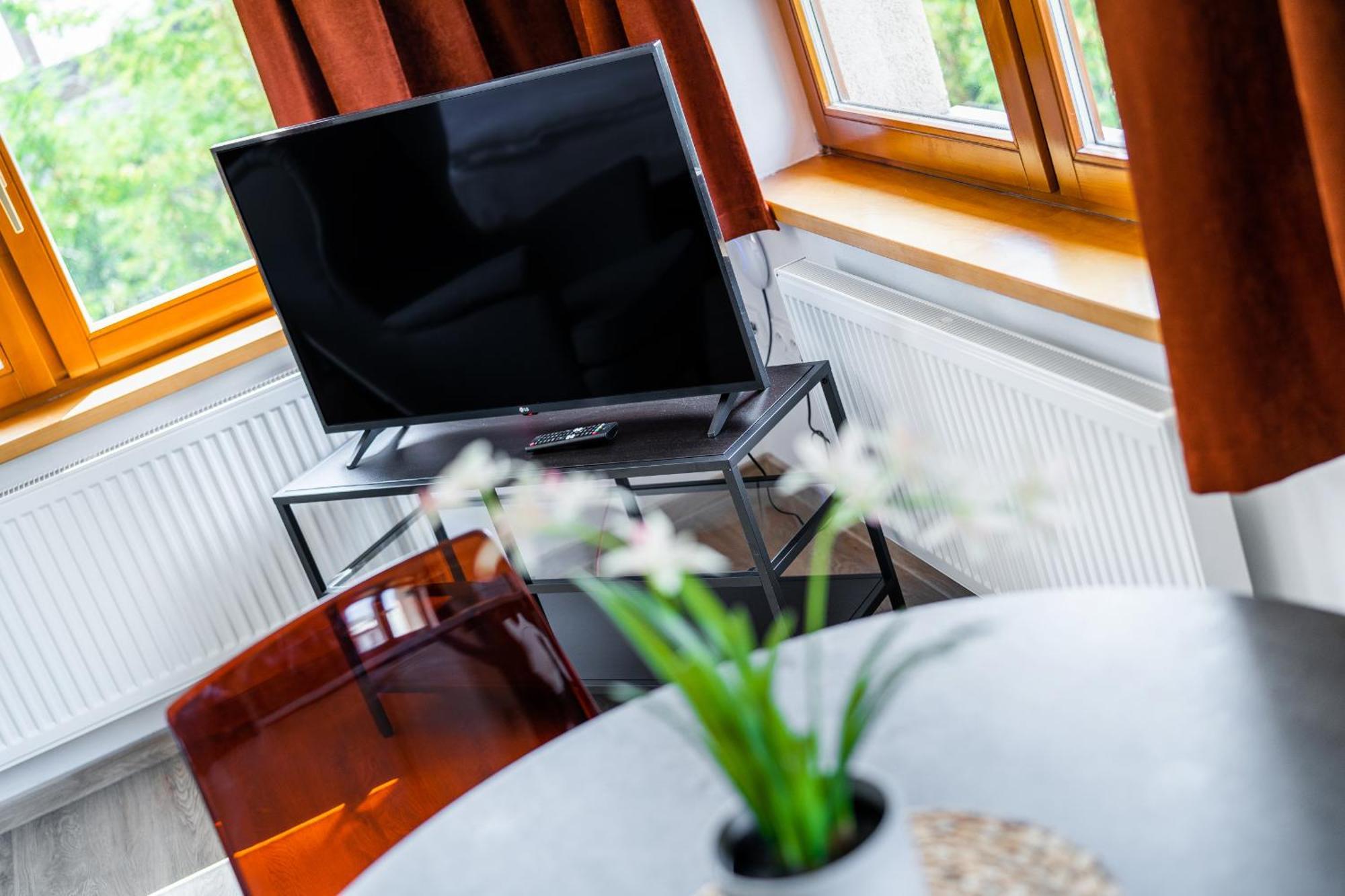 Apartmán V Podebradech *