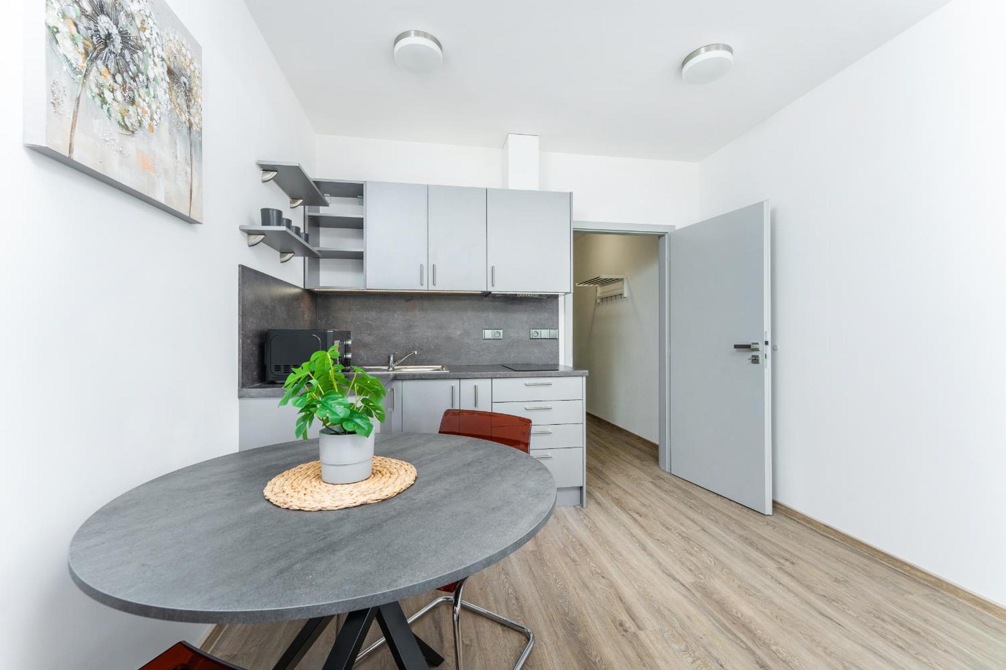 V Podebradech Apartmán *